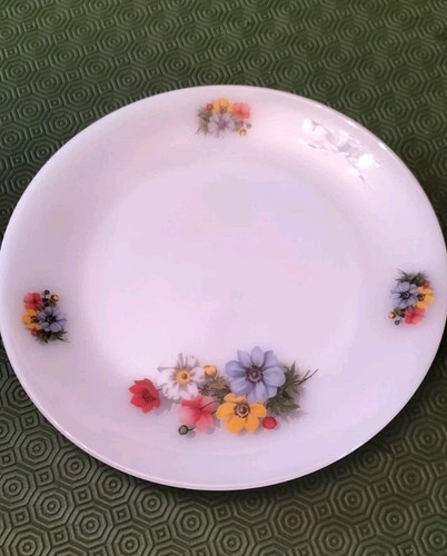 Grand plat arcopal - plat, france