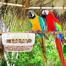 Mangeoire pour perroquets