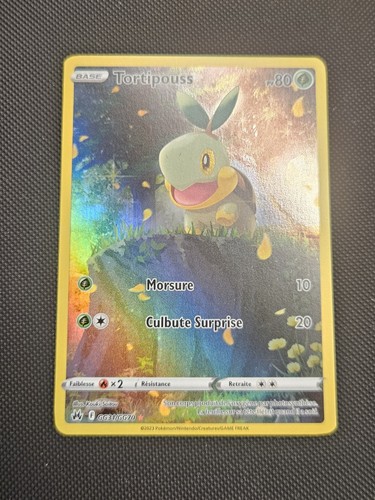 Carte pokémon tortipouss - carte,