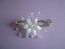 Attache/Remonte Traine/Broche