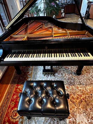 Steinway model grand piano - b,