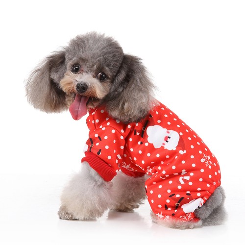 Habit pour chien - pour,