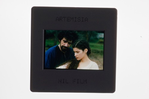 Artemisia valentina cervi miki - valentina,