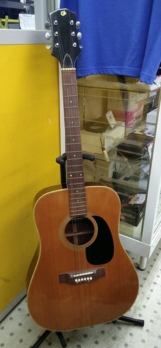 Folks acoustic guitar safe - folks,