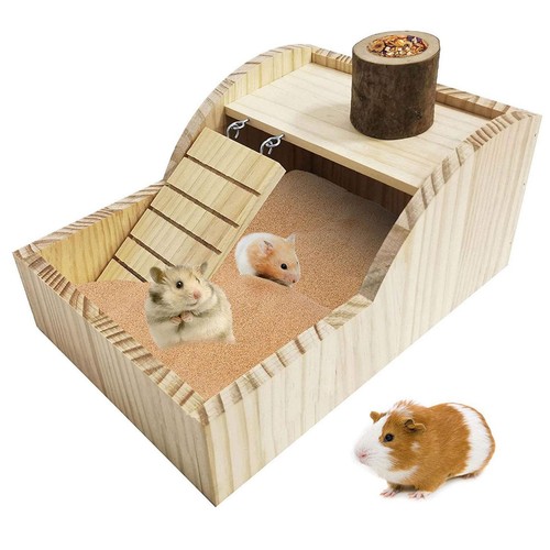 Hamster house - house,