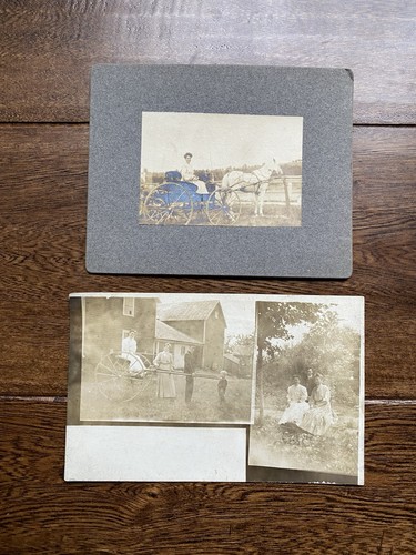 Farm sullivan county new york - farm,