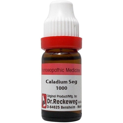 Reckeweg caladium - 5, x
