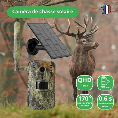 Caméra chasse solaire - chasse,