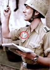 insigne chemise tropical  LW