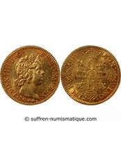 France louis xiv d - france, d'or