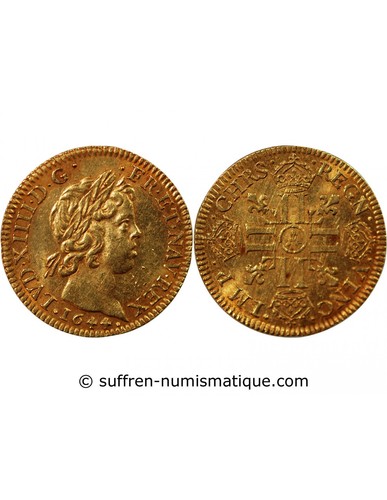 France louis xiv d - france,