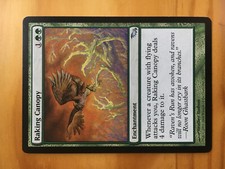 Mtg Shadowmoor Raking Canopy