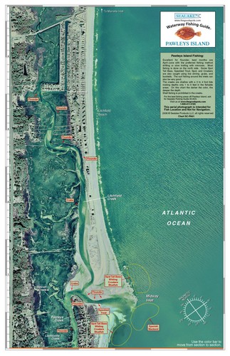 Sealake south carolina - sealake,