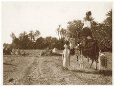 Lehnert & Landrock, Tunisie