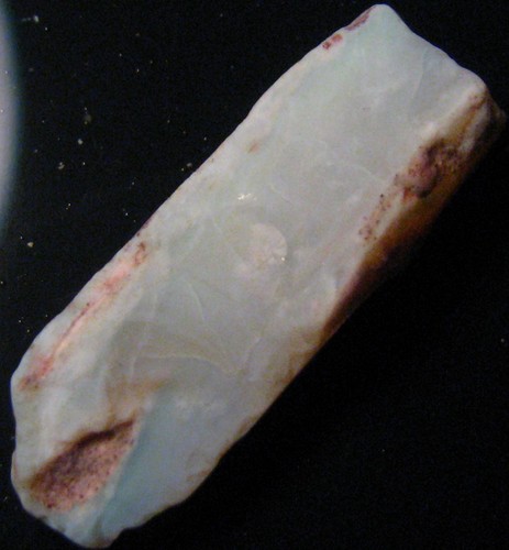 Fossile pipe belemnite - o&co,