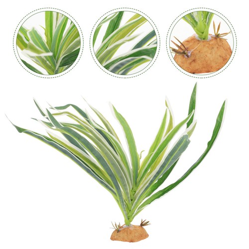 Décoration terrarium - ,