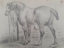 CHEVAL DESSIN MINE DE PLOMB