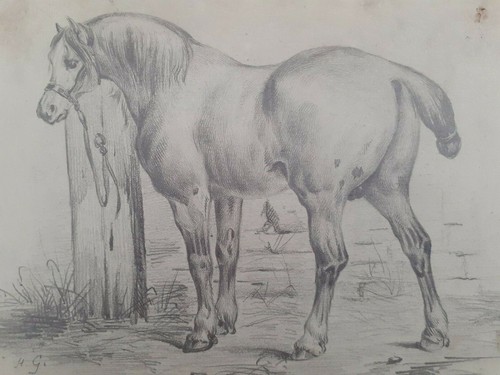 Cheval dessin mine - dessin, de