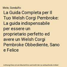 La Guida Completa per Il Tuo