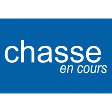 chasse en cours - 15x10cm -