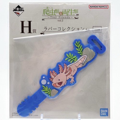 Collection caoutchouc axolotl - collection,