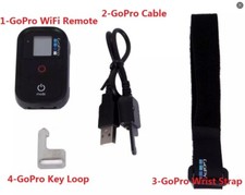 GoPro Wi-Fi Remote for Hero