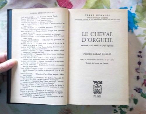 Cheval orgueil par - cheval, d'orgueil