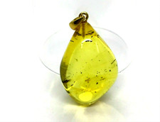 Pendentif Ambre avec Insectes