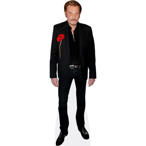 Johnny hallyday - johnny,