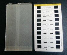 LESTRADE : Stéréocarte Lourdes S. S. Pie XII et Basilique St-Pierre 10 vues