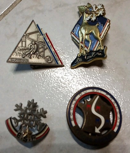 Insignes vintage ecole du - vintage,
