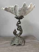 Grand coquillage bénitier