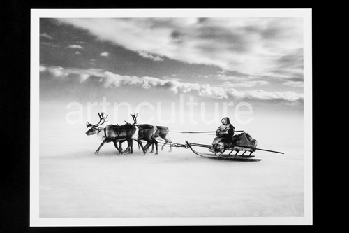 Sebastiao salgado genesis - sebastiao,