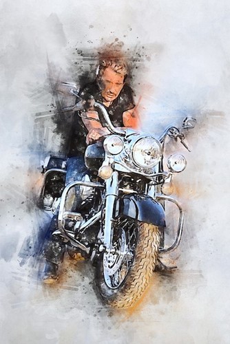 Johnny hallyday toile - johnny, moto