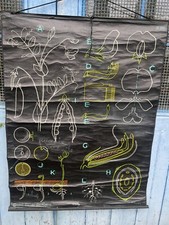 Affiche Ancienne Scolaire