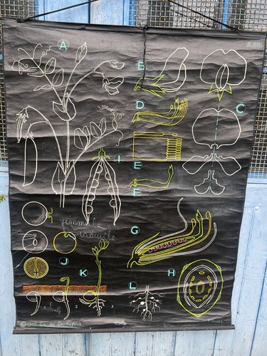 Affiche ancienne scolaire - ancienne,