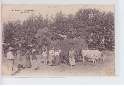 Sourgen hay beef condition - hay,,