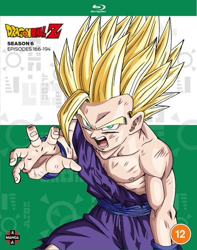 Dragon ball season - dragon, 6