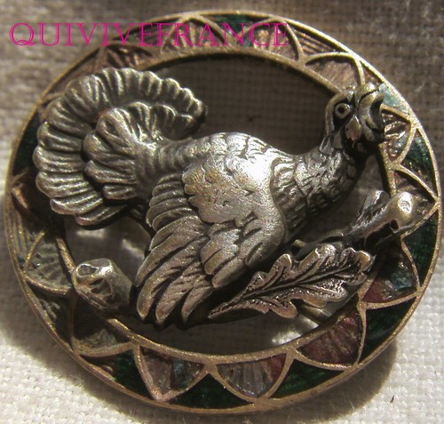 Bg13174 broche insigne - bg13174,