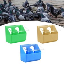 Mangeoire à pigeons robuste