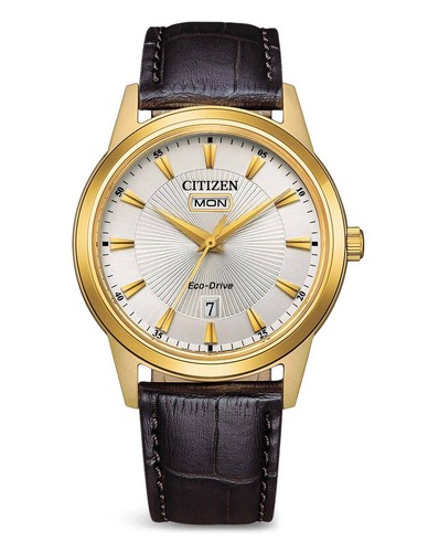 Montre pour homme citizen - pour,
