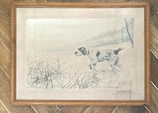 Leon DANCHIN Griffon à L’arrêt Becasse Hunting Chasse