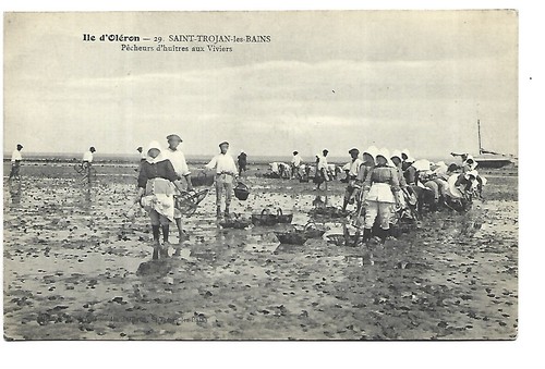 Ile oleron saint trojan - ile,