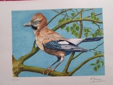 GENEVOIX Maurice- Lithographie originale signée- Oiseau Geai