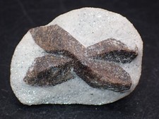 Staurotide , Keivy , Lovozero , Péninsule de Kola Russie