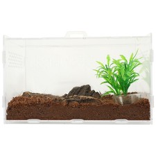  Boîte À Repas Cage Pour Tortue De Terre Récipient Terrarium Réservoir