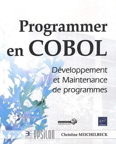 Programmer cobol - programmer, en