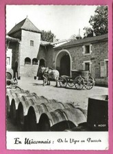 71 - Mâconnais - De la Vigne au Pressoir - Photo R. MOISY(Vendange, viticulture)