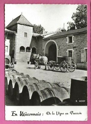 Mâconnais de la vigne - -,