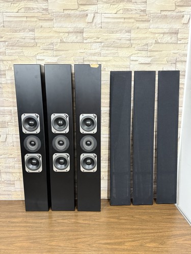 Totem acoustic tribe iii - acoustic,